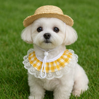 Thumbnail for Khaki and Yellow 2 Sets Adorable Porch Goose & Small Pet Costume Set - 2 Summer Straw Hat & 2 Gingham Bib