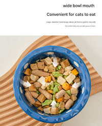 Thumbnail for Red Adorable Mushroom Ceramic Elevated Cat Bowl - Anti-Vomiting & Spine Protecting Pet Feeder with Polka Dots