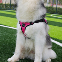 Thumbnail for Size L Black and Pink Ultimate Dog Harness Vest with Backpack - Padded, Reflective & Adjustable for Medium to Large Breeds