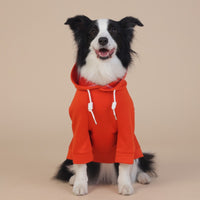 Thumbnail for Orange Classic Dog Sweatshirt with Hood & Drawstrings - For Large Dogs (Size : 5XL)