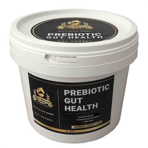 White container of Vital Equine Prebiotic Gut Health for horses on a white background